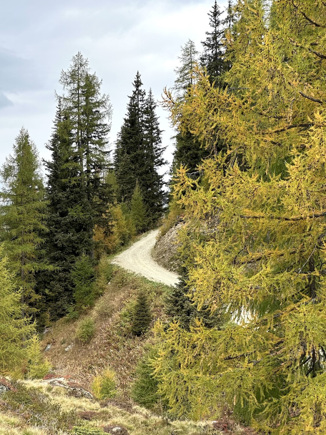 SeeMount Paznaun Genussreise.blog