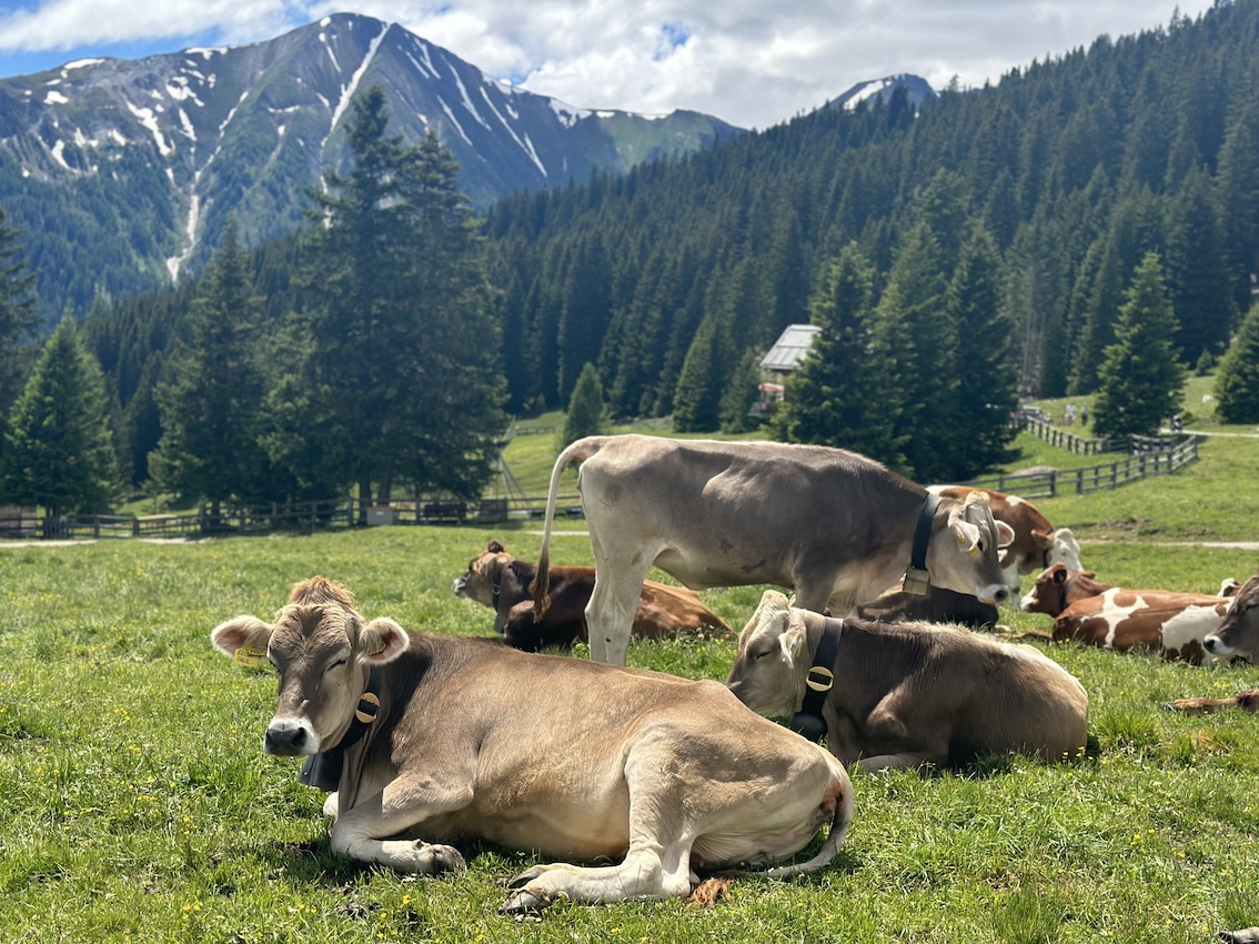 Naturlodge Ladis - GenussReise.blog