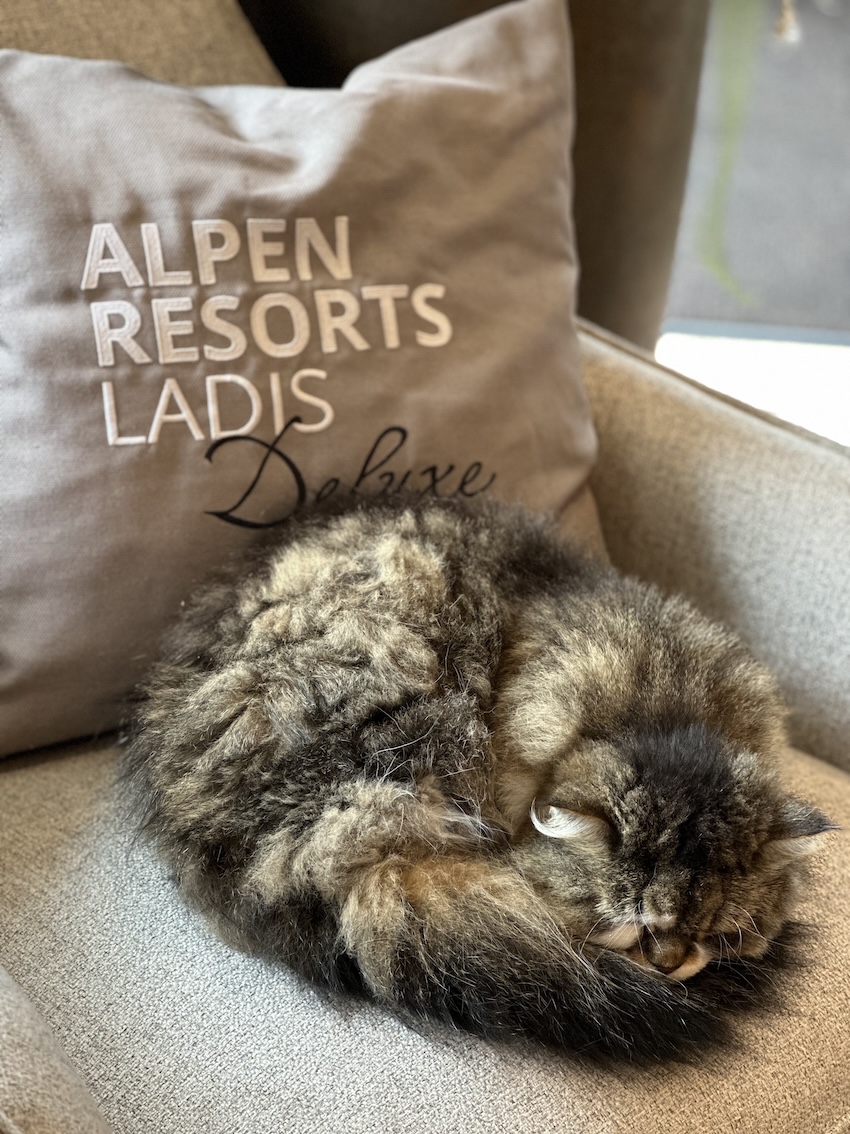 Naturlodge Ladis - GenussReise.blog