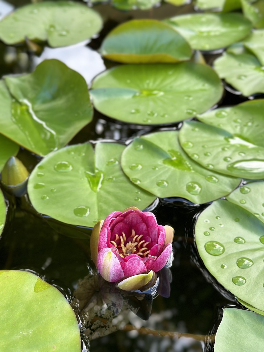 Hotel Sand, Südtirol - GenussReise.blog