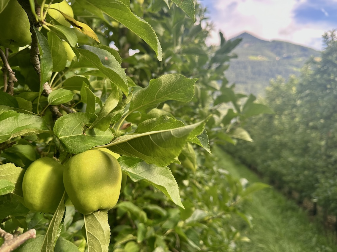 Hotel Sand, Südtirol - GenussReise.blog