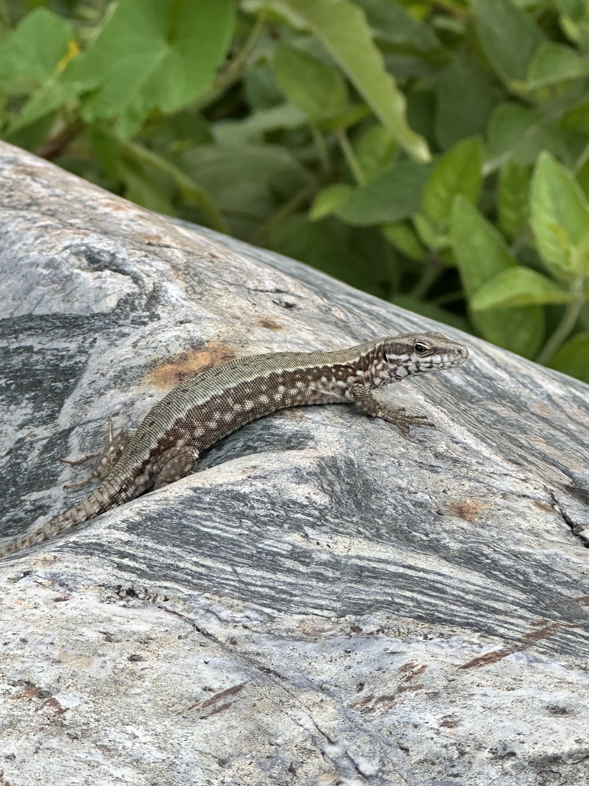 Hotel Sand, Südtirol - GenussReise.blog