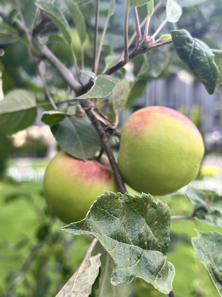Hotel Sand, Südtirol - GenussReise.blog