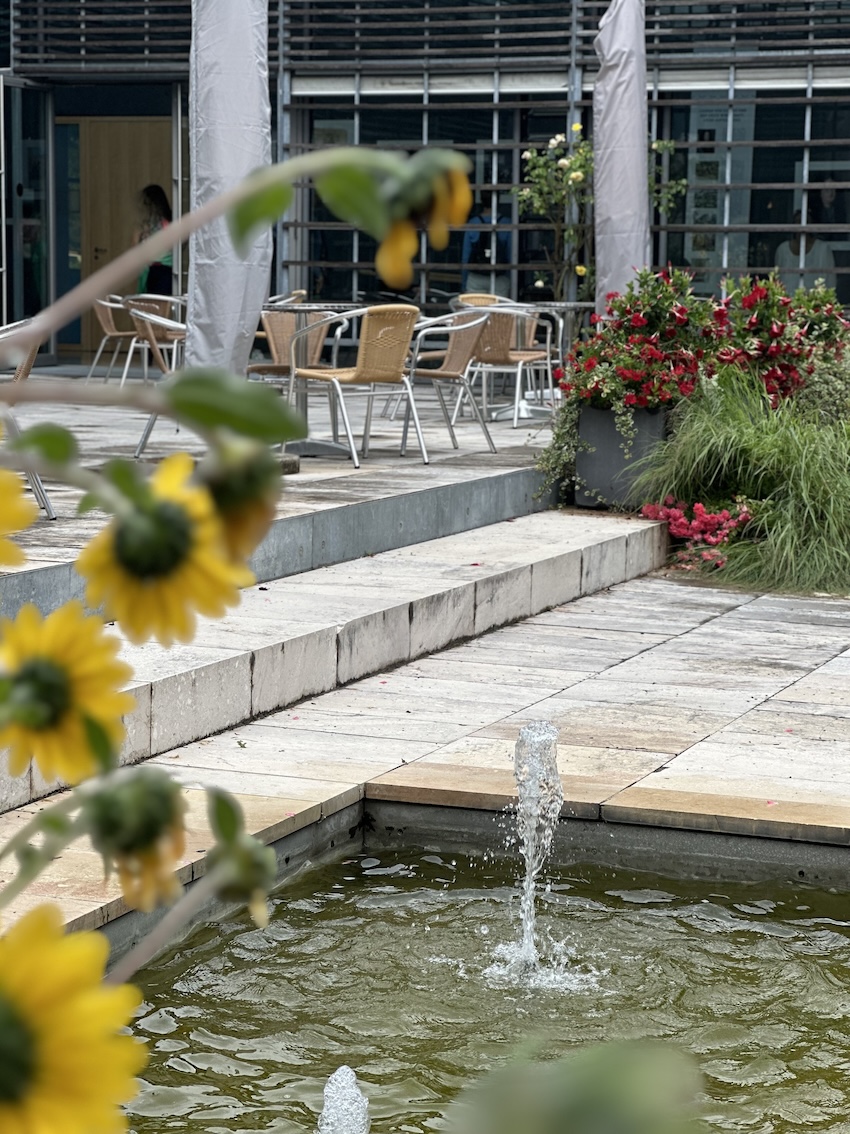 MY MAYR MED - F.X. Mayr - Bad Birnbach - GenussReise.blog