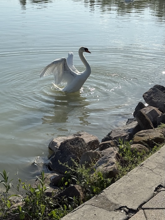 Hotel Sirius Balaton - GenussReise.blog