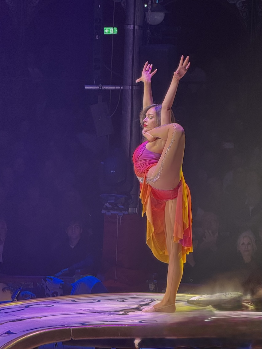 Circus Roncalli - GenussReise.blog - DerKultur.blog