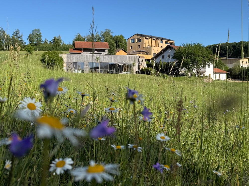 EDLGÜTL - GenussReise.blog