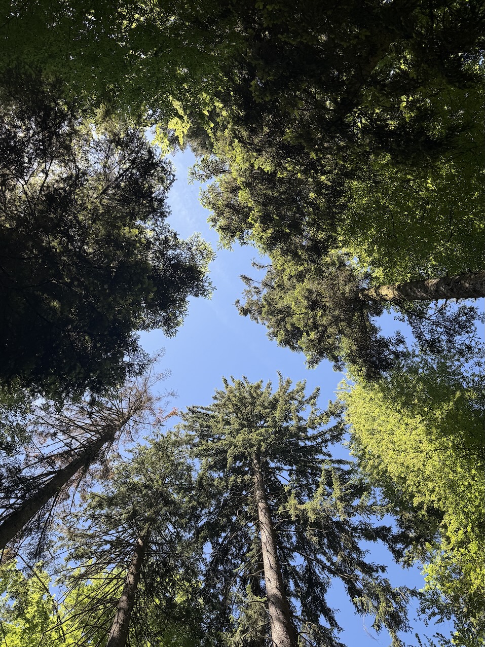 EDLGÜTL - GenussReise.blog