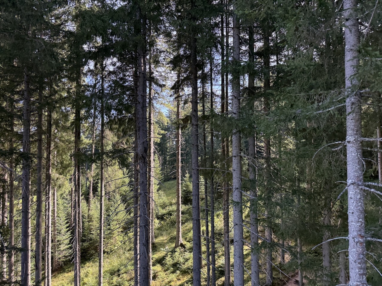 Stockinggut by AvenidA in Leogang GenussReise.blog